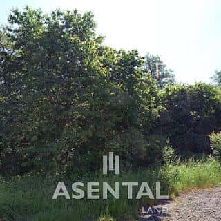 Prodej komerčního pozemku 19552 m² Karviná, Svornosti, Karviná