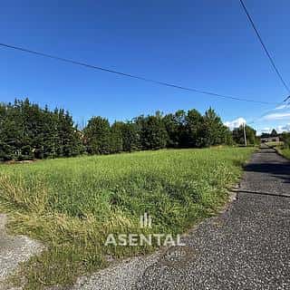 Prodej komerčního pozemku 1579 m² Petřvald, Rychvaldská, Petřvald, okres Karviná