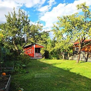 Prodej zahrady 401 m² Litvínovice, Litvínovice, okres České Budějovice