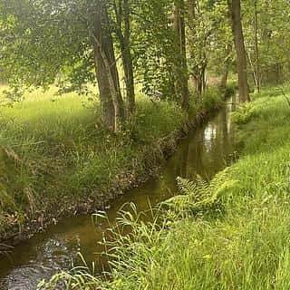 Prodej vodní plochy 130000 m² Chlum u Třeboně, Chlum u Třeboně, okres Jindřichův Hradec