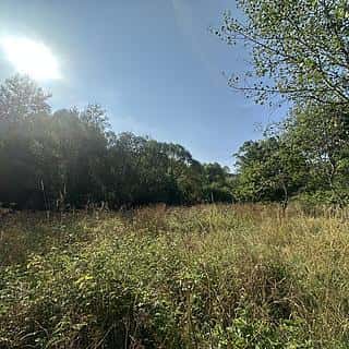 Prodej ostatních pozemků 3546 m² Kaplice, Kaplice, okres Český Krumlov