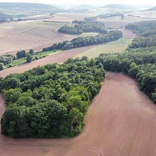 Prodej ostatních pozemků 26115 m² Pozdeň, Pozdeň, okres Kladno