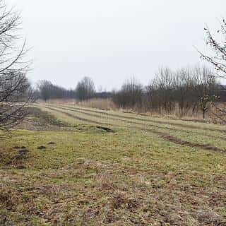 Prodej louky 1685 m² Velký Třebešov, Velký Třebešov, okres Náchod