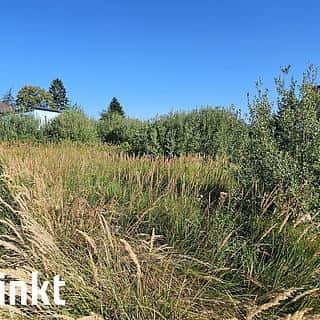 Prodej stavební parcely 1000 m² Nýrsko, Boženy Němcové, Nýrsko, okres Klatovy