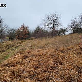 Prodej louky 6483 m² Třebsko, Třebsko, okres Příbram