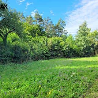 Prodej louky 3885 m² Sýkořice, Sýkořice, okres Rakovník