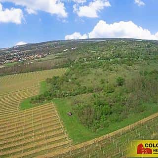 Prodej ostatních pozemků 16843 m² Znojmo, Znojmo