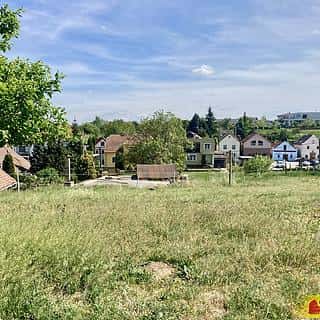 Prodej vinného sklepa 145 m² Nový Šaldorf-Sedlešovice, Nový Šaldorf-Sedlešovice, okres Znojmo