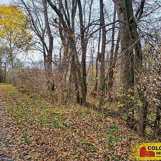 Prodej stavební parcely 3392 m² Rousínov, Rousínov, okres Vyškov