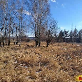 Prodej komerčního pozemku 15899 m² Šafov, Šafov, okres Znojmo