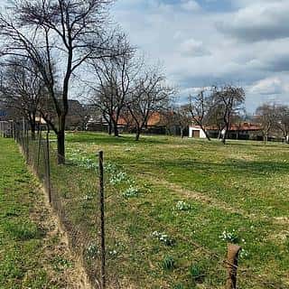 Prodej stavební parcely 1563 m² Lešná, Lešná, okres Vsetín