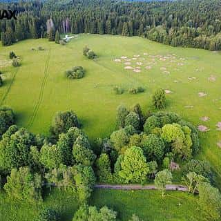 Prodej stavební parcely 2281 m² Lesná, Lesná, okres Tachov