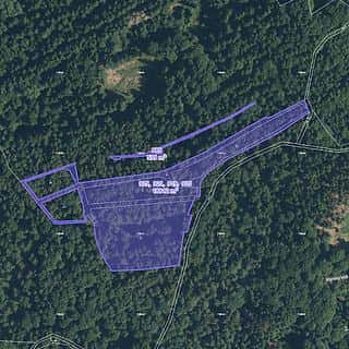 Prodej lesa 8533 m² Staré Sedliště, Staré Sedliště, okres Tachov