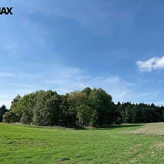 Prodej lesa 12651 m² Dlouhý Újezd, Dlouhý Újezd, okres Tachov