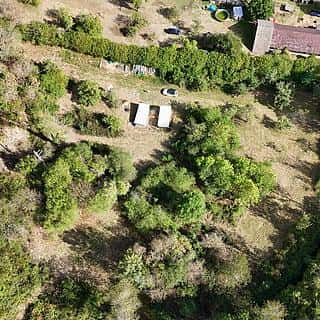 Prodej stavební parcely 12361 m² Bezděkov, Bezděkov, okres Klatovy