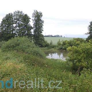 Prodej ostatních pozemků 4992 m² Třebařov, Třebařov, okres Svitavy