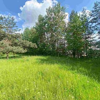 Prodej ostatních pozemků 2300 m² Býkov-Láryšov, Býkov-Láryšov, okres Bruntál