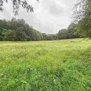 Prodej ostatních pozemků 1500 m² Úterý, Úterý, okres Plzeň-město