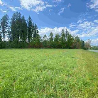 Prodej ostatních pozemků 7130 m² Břidličná, Břidličná, okres Bruntál