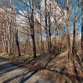 Prodej stavební parcely 2618 m² Rozvadov, Rozvadov, okres Tachov