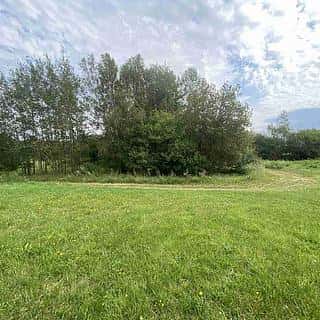 Prodej ostatních pozemků 4446 m² Písečné, Písečné, okres Jindřichův Hradec