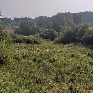 Prodej zemědělské půdy 34244 m² Úterý, Úterý, okres Plzeň-město