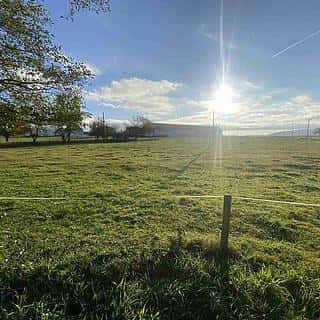 Prodej zemědělské půdy 5099 m² Králíky, Králíky, okres Ústí nad Orlicí