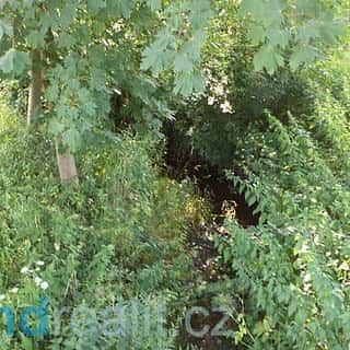 Prodej ostatních pozemků 154 m² Staré Buky, Staré Buky, okres Trutnov