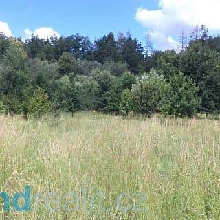 Prodej ostatních pozemků 12879 m² Doudleby, Doudleby, okres České Budějovice