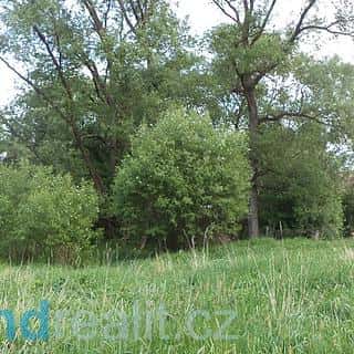 Prodej ostatních pozemků 643 m² Nové Hrady, Nové Hrady, okres České Budějovice