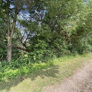 Prodej stavební parcely 974 m² Nové Hrady, Nové Hrady, okres České Budějovice