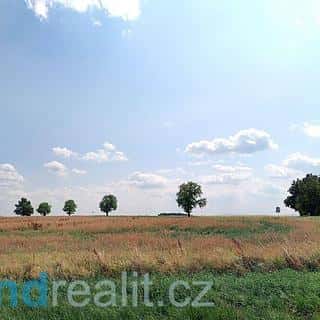 Prodej ostatních pozemků 17515 m² Dříteň, Dříteň, okres České Budějovice