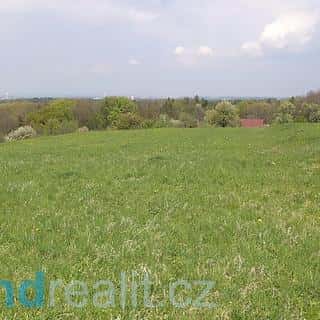 Prodej zemědělské půdy 8787 m² Chotěbuz, Chotěbuz, okres Karviná