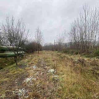 Prodej ostatních pozemků 311 m² Zliv, Zliv, okres České Budějovice