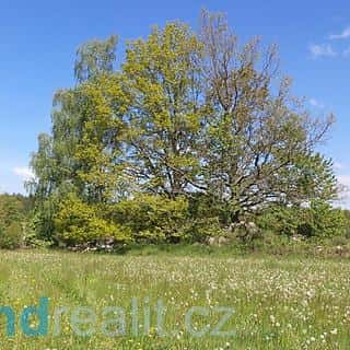 Prodej ostatních pozemků 319 m² Číměř, Číměř, okres Jindřichův Hradec