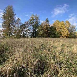 Prodej stavební parcely 3207 m² Králíky, Králíky, okres Ústí nad Orlicí