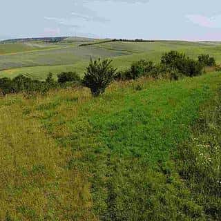 Prodej zemědělské půdy 3134 m² Bučovice, Bučovice, okres Vyškov