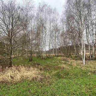 Prodej ostatních pozemků 10244 m² Hosín, Hosín, okres České Budějovice