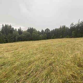Prodej ostatních pozemků 1842 m² Králíky, Králíky, okres Ústí nad Orlicí