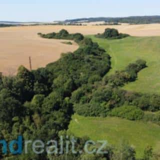 Prodej ostatních pozemků 11272 m² Písečné, Písečné, okres Jindřichův Hradec