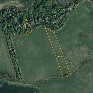 Prodej zemědělské půdy 6524 m² Žlebské Chvalovice, Žlebské Chvalovice, okres Chrudim