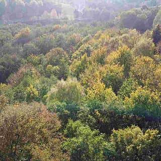 Prodej ostatních pozemků 543 m² Hrádek nad Nisou, Hrádek nad Nisou, okres Liberec