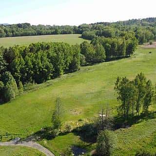Prodej ostatních pozemků 5296 m² Staré Křečany, Staré Křečany, okres Děčín