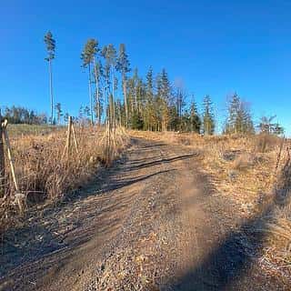 Prodej ostatních pozemků 3847 m² Kočov, Kočov, okres Tachov