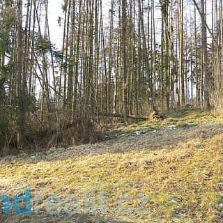 Prodej ostatních pozemků 1595 m² Tábor, Tábor