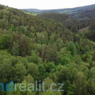 Prodej ostatních pozemků 4999 m² Rejštejn, Rejštejn, okres Klatovy
