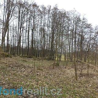 Prodej stavební parcely 1221 m² Dolní Nivy, Dolní Nivy, okres Sokolov