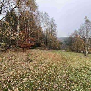 Prodej zemědělské půdy 1158 m² Chvalšiny, Chvalšiny, okres Český Krumlov