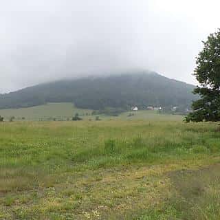 Prodej zemědělské půdy 4685 m² Jablonné v Podještědí, Jablonné v Podještědí, okres Liberec