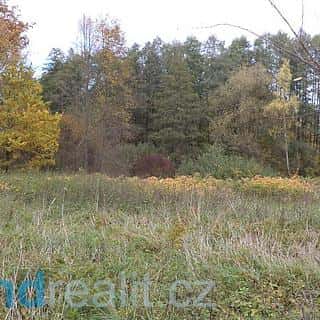 Prodej ostatních pozemků 29835 m² Chlum u Třeboně, Chlum u Třeboně, okres Jindřichův Hradec